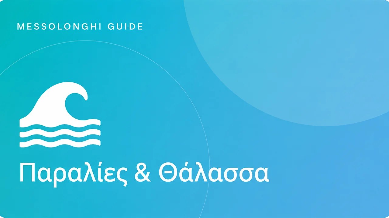 Παραλία Τουρλίδας